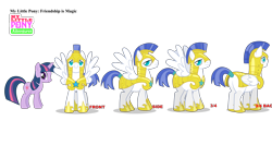 Size: 3328x1772 | Tagged: safe, twilight sparkle, pegasus, pony, unicorn, g4, official, leak, .svg available, armor, colored pupils, duo, duo male and female, female, male, mare, my little pony adventures, reference sheet, royal guard, show bible, simple background, stallion, teal pupils, transparent background, unicorn twilight, vector