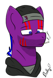 Size: 1034x1510 | Tagged: safe, artist:klonray, oc, oc only, oc:colton whittles, pegasus, pony, bust, cigarette, clothes, jacket, male, meme, simple background, smoke, smoking, solo, stallion, stallion oc, transparent background