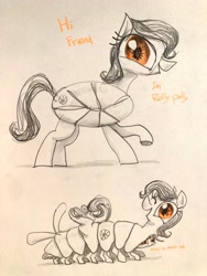 Size: 3024x4032 | Tagged: safe, artist:ja0822ck, oc, oc only, bug pony, insect, pillbug, pony, female, mare, multiple limbs, ponified, traditional art