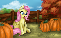 Size: 1729x1080 | Tagged: safe, artist:flower9898, fluttershy, butterfly, pegasus, pony, g4, :o, autumn, blue eyes, bush, butterfly on nose, chest fluff, cute, ear fluff, female, fence, hock fluff, insect on nose, mare, open mouth, outdoors, pumpkin, raised hoof, shyabetes, sitting, solo, tree, wrong eye color