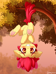 Size: 1800x2400 | Tagged: safe, alternate version, artist:symbianl, apple bloom, earth pony, pony, g4, adorabloom, blushing, cheek fluff, colored underhoof, cute, dock, ear fluff, female, filly, floppy ears, fluffy, foal, frog (hoof), hanging, hanging by tail, hanging upside down, heart, hoof heart, leg fluff, looking at you, outdoors, prehensile tail, silly, silly filly, silly pony, smiling, smiling at you, solo, tail, tail hold, tree, tree branch, underhoof, upside down