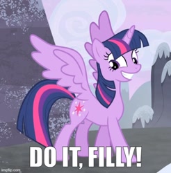 Size: 500x508 | Tagged: safe, edit, edited screencap, screencap, twilight sparkle, alicorn, pony, g4, my little pony: friendship is magic, season 5, the cutie map, caption, cropped, do it filly, grin, image macro, imgflip, meme, outdoors, smiling, solo, text, twilight sparkle (alicorn)