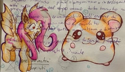 Size: 2048x1178 | Tagged: safe, artist:grim_the_end, fluttershy, bat pony, hamster, pony, g4, bat ponified, flutterbat, hamtaro, jaw drop, open mouth, race swap, traditional art