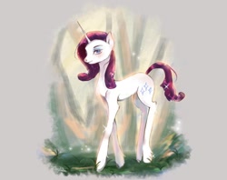 Size: 1700x1348 | Tagged: safe, artist:zecorhia, rarity, pony, unicorn, g4, female, fetlock tuft, horn, long legs, mare, slender, solo, thin