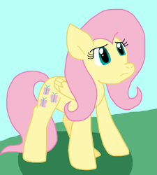 Size: 855x948 | Tagged: safe, artist:cmara, fluttershy, pegasus, pony, g4, female, outdoors, solo