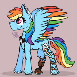 Size: 2500x2500 | Tagged: safe, artist:wolfgirlstuart, rainbow dash, pegasus, g4, amputee, colored pinnae, colored wings, disabled, ear fluff, female, goggles, leonine tail, multicolored hair, multicolored mane, multicolored tail, multicolored wings, prosthetic leg, prosthetic limb, prosthetics, solo, tail, unshorn fetlocks, wings