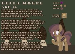 Size: 3290x2389 | Tagged: safe, artist:jerkface, oc, oc only, oc:bella morel, bat pony, pony, bat pony oc, reference sheet, solo