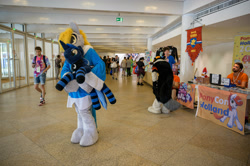 Size: 2560x1703 | Tagged: safe, derpy hooves, princess luna, human, galacon, g4, 2022, clothes, furry, fursuit, galacon 2022, indoors, irl, irl human, multiple characters, photo, plushie, ponysuit, socks, striped socks