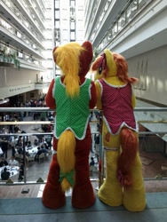 Size: 675x900 | Tagged: safe, artist:atalonthedeer, oc, oc only, oc:canni soda, human, 2012, building, clothes, cosplay, costume, crowd, duo focus, eurofurence, indoors, irl, irl human, photo, rear view