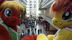 Size: 1200x675 | Tagged: safe, artist:atalonthedeer, oc, oc only, oc:canni soda, human, 2012, building, clothes, cosplay, costume, crowd, duo focus, eurofurence, indoors, irl, irl human, looking at you, looking back, looking back at you, photo