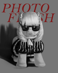 Size: 850x1080 | Tagged: safe, photo finish, earth pony, pony, g4, full body