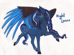 Size: 1294x955 | Tagged: safe, artist:tazzy-girl, oc, oc only, oc:night lance, pegasus, pony, braid, braided ponytail, colored wings, female, mare, ponytail, solo, sternocleidomastoid, traditional art, two toned wings, wings