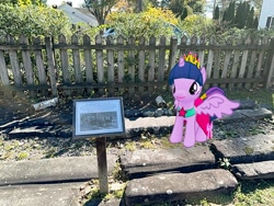 Size: 2016x1512 | Tagged: safe, artist:mtnproductions, twilight sparkle, alicorn, pony, g4, hurley, irl, new york, outdoors, photo, ponies in real life, solo, twilight sparkle (alicorn)