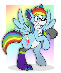 Size: 1644x1972 | Tagged: safe, artist:sketchymouse, rainbow dash, pegasus, pony, g4, eye color change, furry, furry to pony, mid-transformation, outline, passepartout, rearing, solo, surprised, transformation