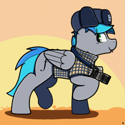 Size: 2048x2048 | Tagged: safe, artist:sefastpone, oc, oc only, pegasus, pony, :p, abstract background, camera, clothes, commission, hat, plaid shirt, raised hoof, raised leg, shirt, side view, solo, tongue out