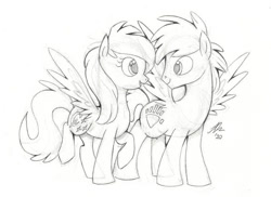 Size: 756x550 | Tagged: safe, artist:luftlindt, oc, oc only, pegasus, pony, duo