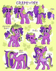 Size: 5000x6300 | Tagged: safe, artist:pilesofmiles, oc, oc only, oc:grapevine (pilesofmiles), crystal pony, earth pony, pony, baby, baby pony, clothes, colt, crystallized, cutie mark, dress, ear piercing, earring, ears back, feminine stallion, flower, flower in hair, flower in tail, foal, freckles, gala dress, gala outfit, green background, jewelry, lidded eyes, male, multicolored hair, multicolored mane, piercing, ponysona, purple eyes, purple mane, raised hoof, reference sheet, saddle, simple background, solo, stallion, stallion oc, standing, tack, tail, text, thick eyebrows, wet, wet mane