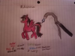 Size: 4608x3456 | Tagged: safe, artist:radiation_pony, oc, oc only, oc:rubidium, pegasus, female, mare, reference sheet, solo