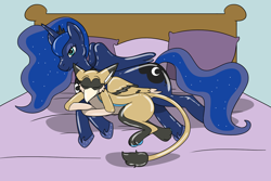 Size: 1280x853 | Tagged: safe, artist:fox0808, princess luna, oc, alicorn, griffon, pony, bed, griffon oc, indoors, latex, latex griffon, lying down, plushie, prone, sleeping