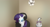 Size: 3468x1873 | Tagged: safe, artist:maretheory.exe, opalescence, rarity, cat, pony, unicorn, g4, 4chan cup, chair, drborisg, duo, headphones, horn, looking at you, meme