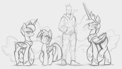 Size: 4349x2455 | Tagged: safe, artist:maretheory.exe, princess celestia, princess luna, twilight sparkle, oc, oc:anon, alicorn, human, pony, blushing, concave belly, crown, female, grayscale, height difference, hoof shoes, horn, jewelry, long horn, looking up, male, mare, monochrome, nervous, physique difference, regalia, simple background, slender, smug, standing on two hooves, thin, white background