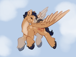 Size: 3000x2250 | Tagged: safe, artist:hederacea, alicorn, pony, clark kent, cloud, dc comics, flying, ponified, realistic wings, solo, superhero, superman, unshorn fetlocks, wings