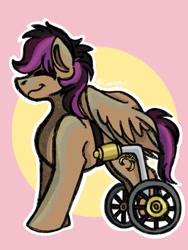 Size: 1080x1440 | Tagged: safe, artist:crandyart, stellar eclipse, pegasus, pony, g4, disability pride, eyes closed, female, mare, smiling, tail, wheelchair, wings