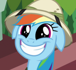 Size: 445x405 | Tagged: safe, screencap, rainbow dash, pegasus, pony, g4, my little pony: friendship is magic, stranger than fan fiction, cropped, female, floppy ears, mare, outdoors, solo