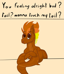 Size: 3500x4000 | Tagged: safe, artist:windy, oc, oc only, oc:windflyer, original species, pony, shark, shark pony, boobs? wanna touch boobs?, eyebrows, eyebrows visible through hair, fish tail, meme, shark tail, solo, tail