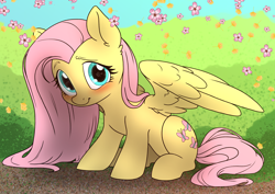 Size: 7016x4961 | Tagged: safe, alternate version, artist:derpydoodesigns, artist:derpydooreviews, fluttershy, pegasus, pony, g4, absurd resolution, blushing, cherry blossoms, cute, daaaaaaaaaaaw, female, flower, flower blossom, looking at you, mare, outdoors, partially open wings, shyabetes, sitting, smiling, smiling at you, solo, sweet dreams fuel, wings