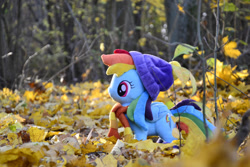 Size: 1095x730 | Tagged: safe, artist:mgrdash, rainbow dash, pegasus, pony, g4, clothes, forest, irl, leaves, nature, outdoors, photo, plushie, ponies in real life, scarf, striped scarf, tree