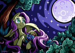 Size: 2480x1754 | Tagged: safe, artist:kizupoko, fluttershy, princess luna, alicorn, pegasus, pony, g4, bush, cute, grass, moon, night, night sky, outdoors, plushie, sky, stars, tree