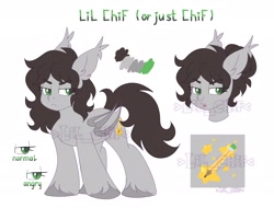 Size: 2416x1836 | Tagged: safe, artist:lil_chif, oc, oc:lil_chif, bat pony, cutie mark, reference, reference sheet