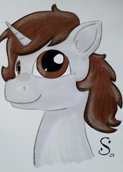 Size: 1881x2620 | Tagged: safe, artist:sparkler, oc, oc only, oc:dorm pony, pony, unicorn, horn, photo, solo