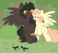 Size: 1000x900 | Tagged: safe, artist:php193, oc, oc only, oc:soft sonance, oc:stormchaser, bird, pegasus, pony, bush, couple, duo, duo male and female, female, grass, male, mare, outdoors, stallion, tree