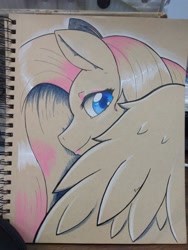 Size: 3120x4160 | Tagged: safe, artist:edgarkingmaker, fluttershy, pegasus, colored pencils, etsy, female, photo, solo