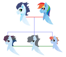 Size: 750x652 | Tagged: safe, artist:alyssadawnmyers, rainbow dash, soarin', pegasus, pony, g4, family tree, female, male, mare, offspring, parent:rainbow dash, parent:soarin', parents:soarindash, ship:soarindash, shipping, stallion, straight