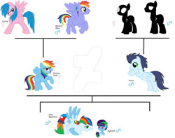 Size: 749x590 | Tagged: safe, artist:medabotandronica, firefly, rainbow blaze, rainbow dash, soarin', oc, oc:jalus apparition, oc:nightfall, pegasus, pony, g1, g4, cross-generational shipping, deviantart watermark, female, male, mare, obtrusive watermark, offspring, parent:rainbow dash, parent:soarin', parents:soarindash, ship:soarindash, shipping, stallion, straight, watermark