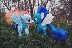 Size: 720x482 | Tagged: safe, rainbow dash, soarin', pegasus, pony, female, irl, male, mare, outdoors, photo, ship:soarindash, shipping, stallion, straight, toy