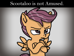 Size: 1024x768 | Tagged: source needed, safe, artist:background_pon3, scootaloo, pegasus, pony, g4, angry, captain obvious, crossed hooves, female, filly, foal, gradient background, scootaloo is not amused, shaped like itself, solo, text, unamused, wings