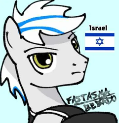 Size: 395x410 | Tagged: safe, artist:fantasma bêbado, oc, earth pony, pony, blue background, flag, icon, israel, male, nation ponies, ponified, signature, simple background, solo, stallion