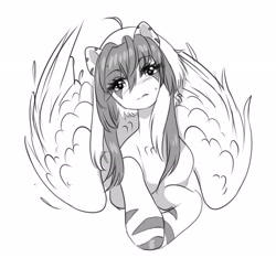 Size: 2700x2524 | Tagged: safe, artist:opalacorn, oc, oc only, oc:aura, hybrid, pegasus, pony, zebra, zebrasus, zony, black and white, eye clipping through hair, female, folded wings, grayscale, large wings, looking at you, lying down, mare, monochrome, prone, simple background, solo, white background, wings, zony oc