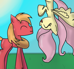 Size: 1600x1500 | Tagged: safe, artist:rai2n, big macintosh, fluttershy, earth pony, pegasus, pony, g4, duo, duo male and female, eyes closed, female, grass, male, mare, outdoors, ship:fluttermac, shipping, sky, smiling, spread wings, stallion, straight, sun, upside down, wings