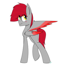 Size: 1600x1500 | Tagged: safe, artist:rai2n, oc, oc only, oc:stefan, pegasus, pony, art trade, male, simple background, smiling, solo, stallion, transparent background