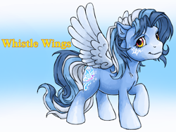 Size: 1600x1200 | Tagged: safe, artist:solixy406, oc, pegasus, pony, solo