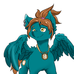 Size: 1024x1024 | Tagged: safe, artist:fenriz278, oc, oc only, pegasus, pony, ear piercing, earring, jewelry, male, necklace, piercing, simple background, solo, spread wings, stallion, transparent background, wings