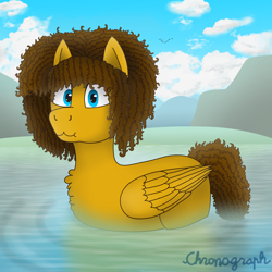 Size: 2048x2048 | Tagged: safe, oc, oc only, oc:curly, bird, duck, pegasus, pony, cloud, curly mane, detailed background, digital art, flock, folded wings, gift art, male, silly, stallion, water, wings