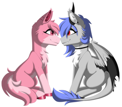 Size: 3393x2989 | Tagged: oc name needed, safe, alternate version, artist:melodytheartpony, oc, oc only, oc:anon, oc:melody silver, dracony, dragon, hybrid, pegasus, pony, wolf, wolf pony, choker, commission, dragon wings, duo, ear piercing, facing each other, female, feral, happy, long mane, looking at each other, looking at someone, mare, piercing, ponified, red eyes, short mane, signature, simple background, sitting, smiling, spread wings, white background, wings, ych result, your character here