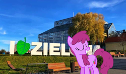 Size: 1008x594 | Tagged: safe, artist:orschmann, edit, berry punch, berryshine, pony, g4, irl, photo, poland, ponies in real life, zielona góra