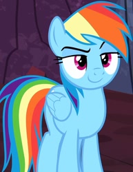 Size: 735x952 | Tagged: safe, screencap, rainbow dash, pegasus, pony, g4, my little pony: friendship is magic, cropped, episode needed, eyebrows, female, folded wings, mare, raised eyebrow, standing, wings